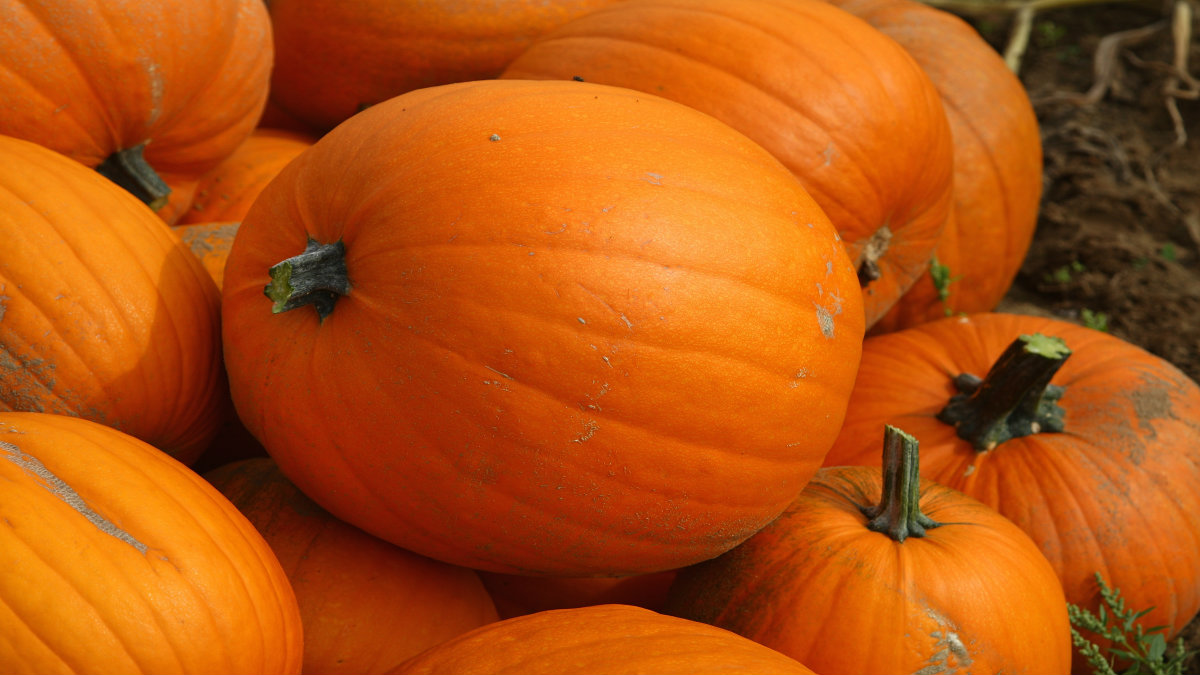 SoCal Welcomes Fall with Warming Trend