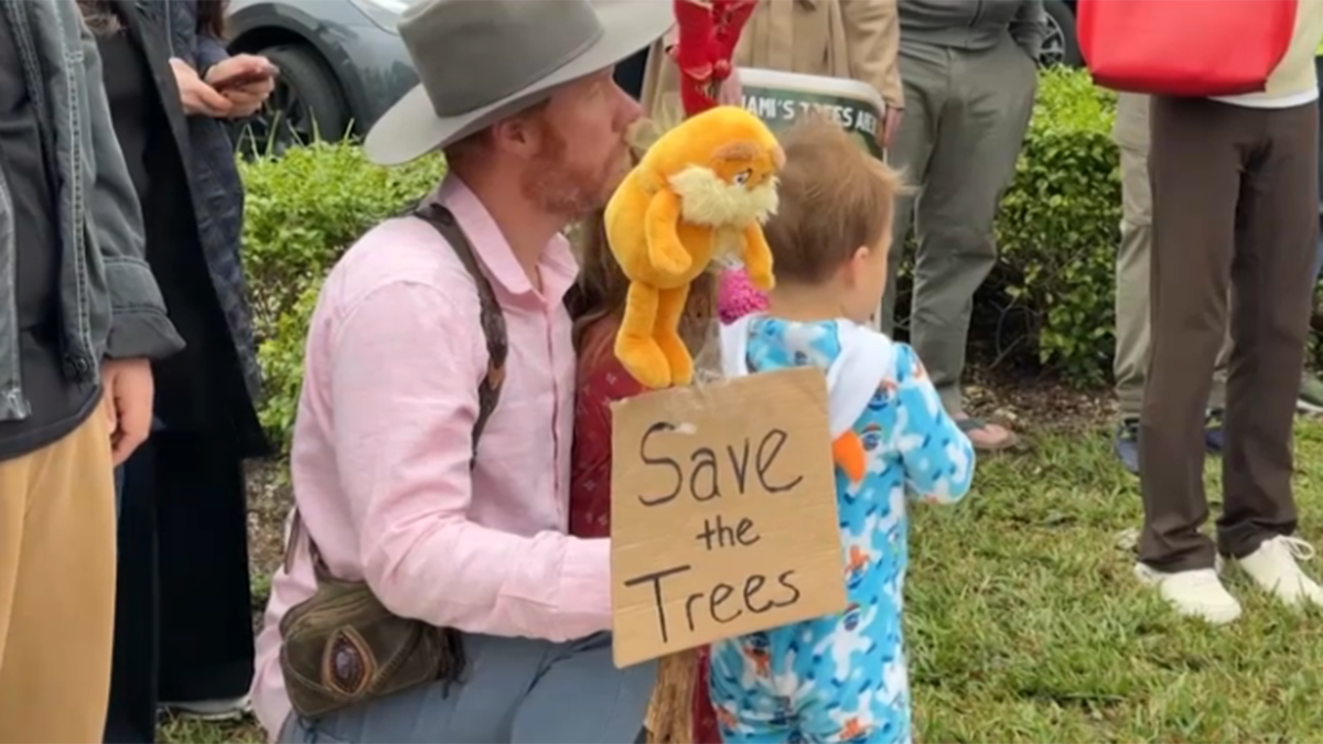 Miami’s Tree Permitting Process Change Proposal Withdrawn Amid Outcry