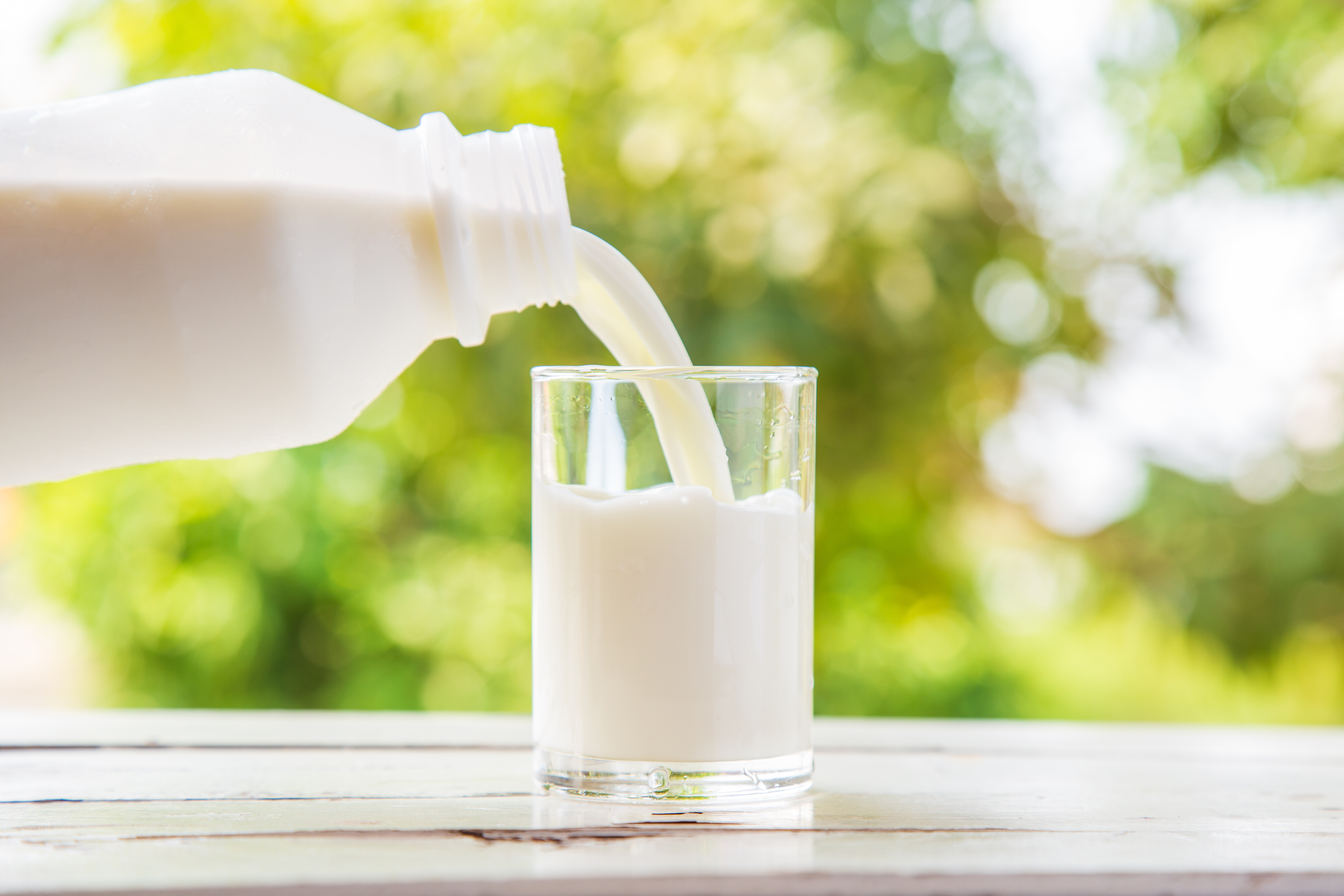 New Mexico warns against raw milk