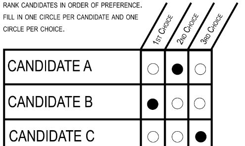 NYC mayor race: How does ranked alternative voting work?