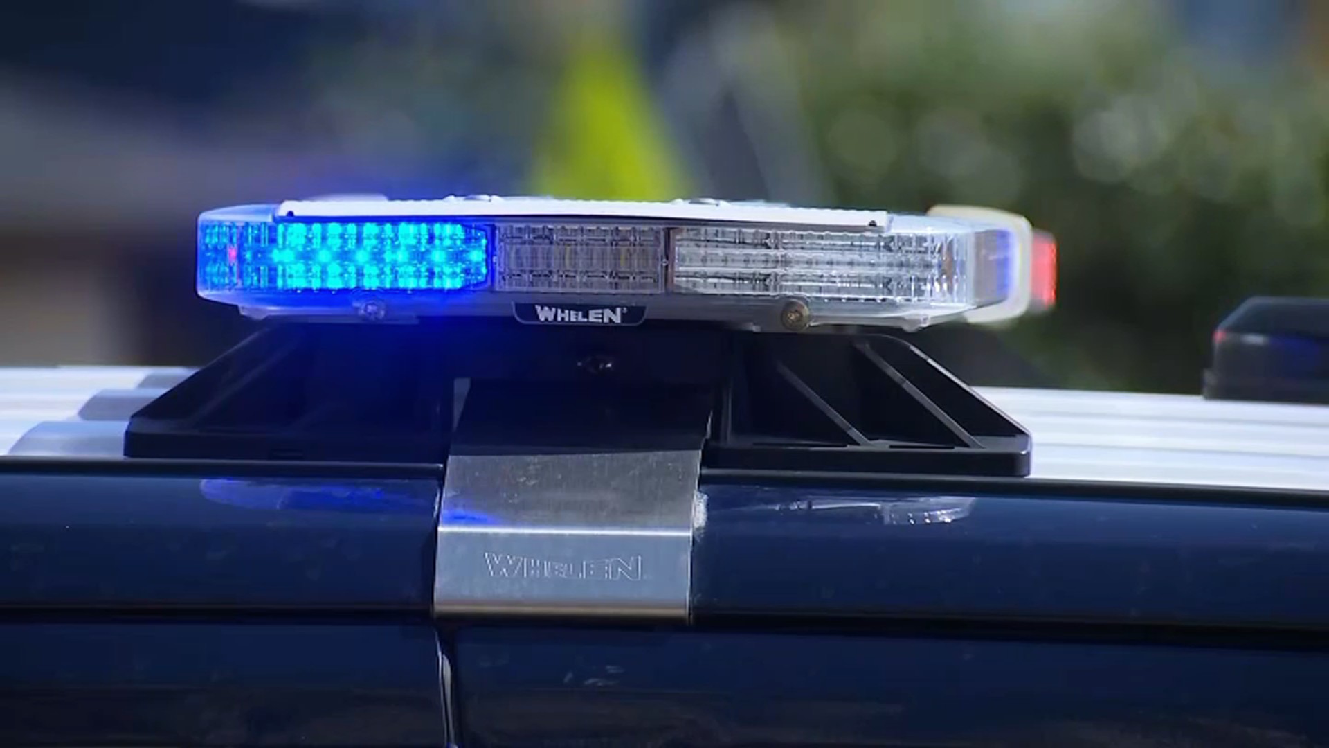 8-year-old discovered protected after Brooklyn carjacker will get behind the wheel: police