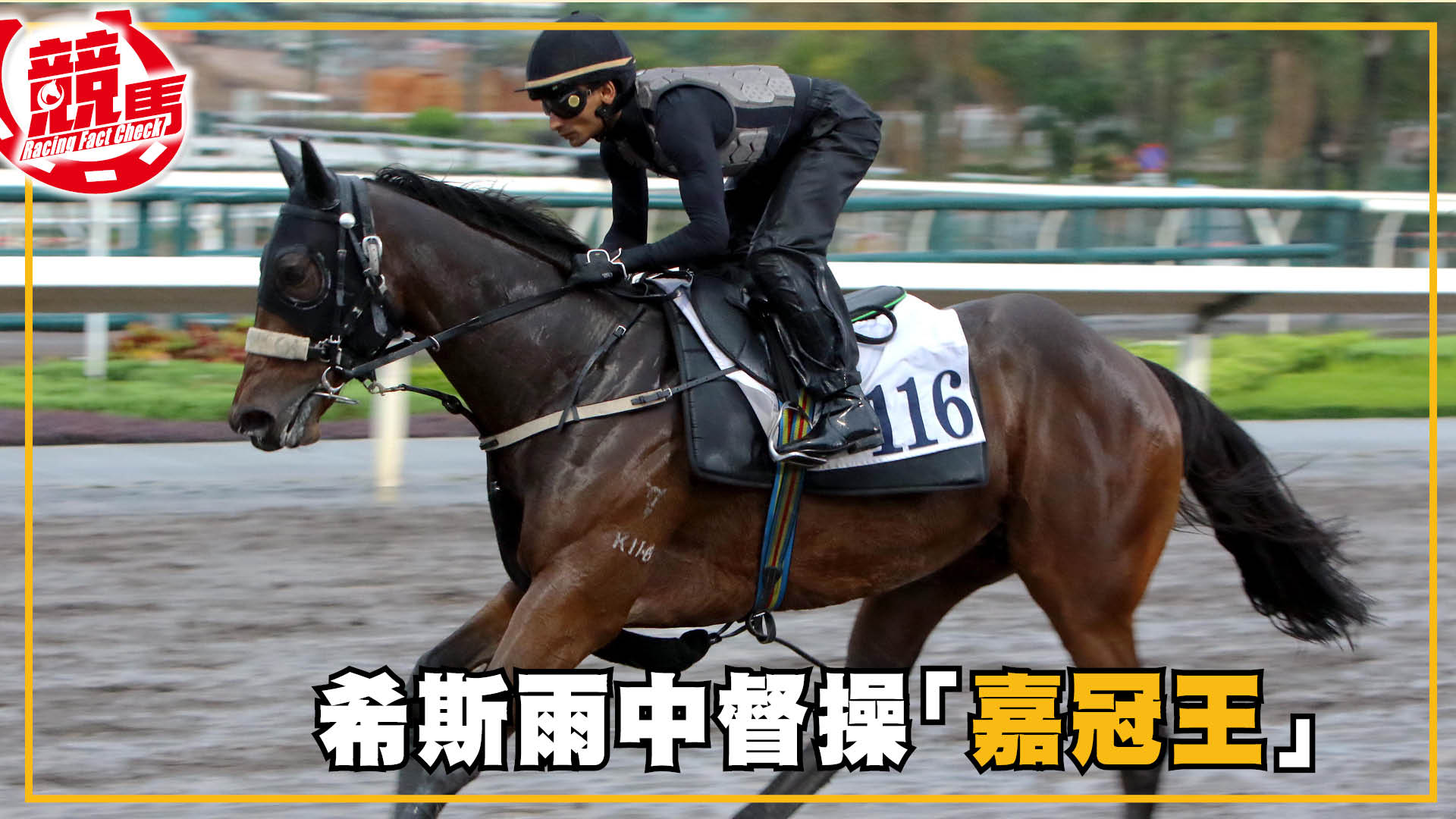 競馬網| 競馬網 雨 競馬