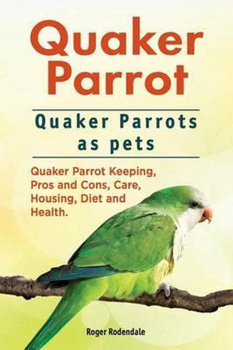 Quaker Parrot Quaker Parrots As Pets Quaker Parrot Keeping Pros And Cons Care Bol Com