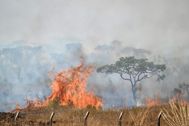 Lo que sabemos sobre la ‘pandemia’ de incendios que asola Brasil