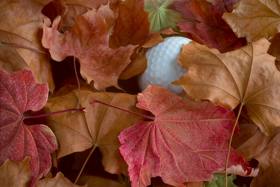 Yes, the 'leaf rule' is actually a real thing. Here's what the rules say about it