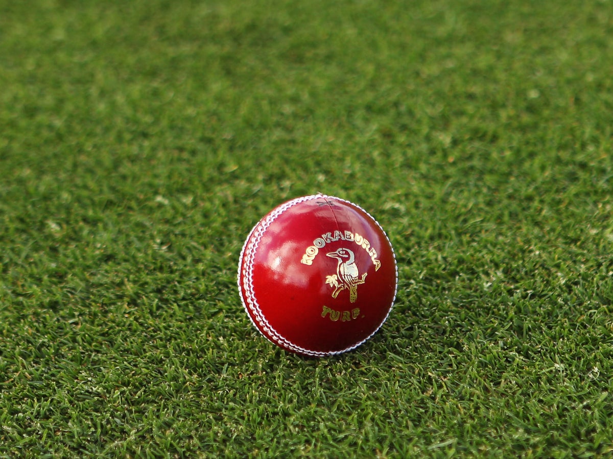 Ball by ball cricinfo deals live scorecard