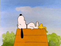 Best Snoopy Gifs Primo Gif Latest Animated Gifs