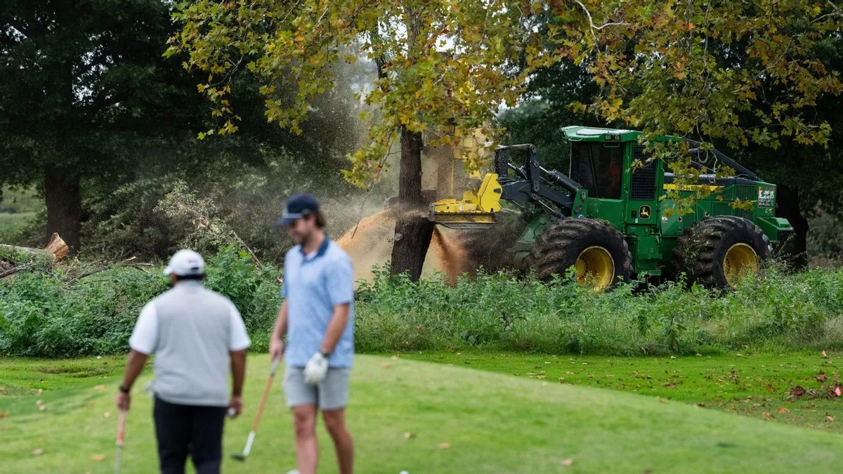 Trump admin cut down 430 trees at DC golf course renovation site, court docs confirm Trump admin cut down 430 trees at DC golf course renovation site, court docs confirm