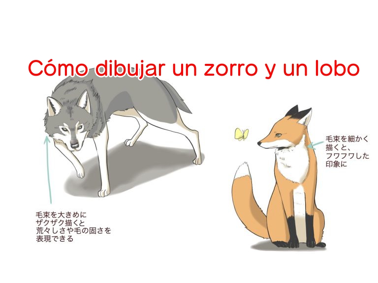 Como Dibujar Un Zorro Y Un Lobo Medibang Paint