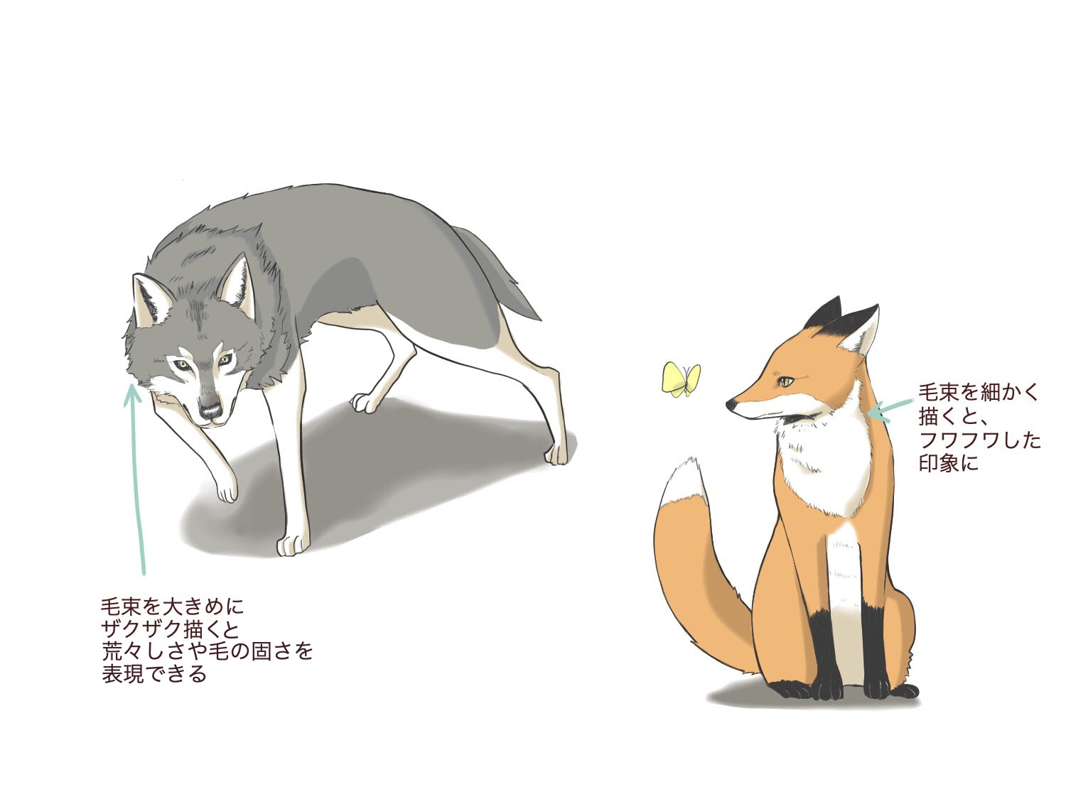 Como Dibujar Un Zorro Y Un Lobo Medibang Paint