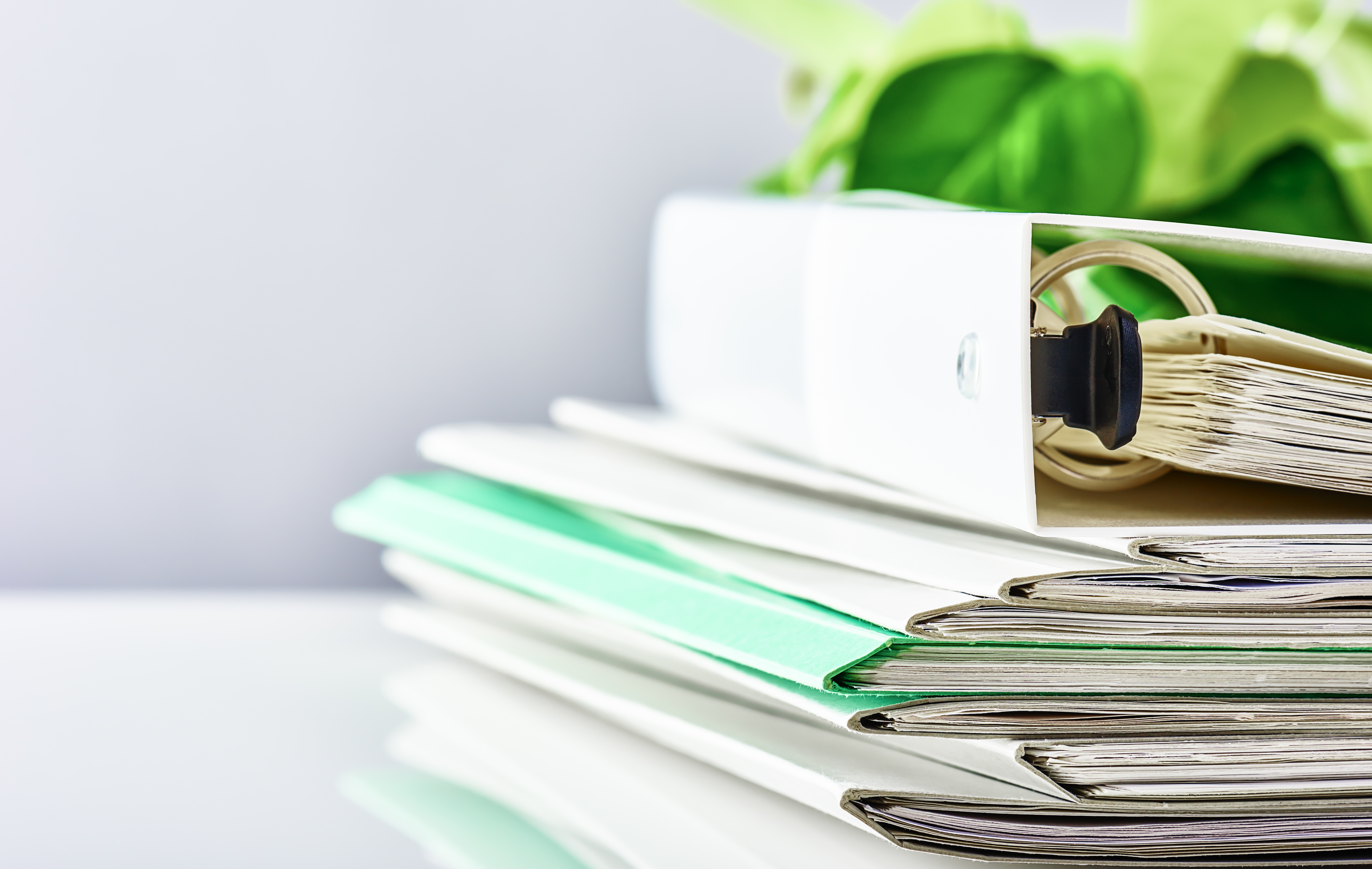 24 Stunden Pflege Meine Pflege Zu Hause