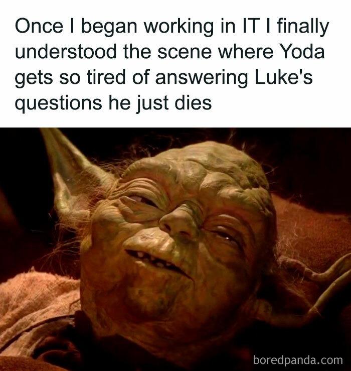 Once began working in IT finally understood the scene where Yoda gets so tired of answering Luke’s questions he just dies boredpanda.com