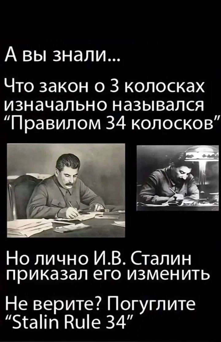 Stalin rule 34
