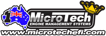 Lt9 10 Wiring Diagrams Microtech Efi