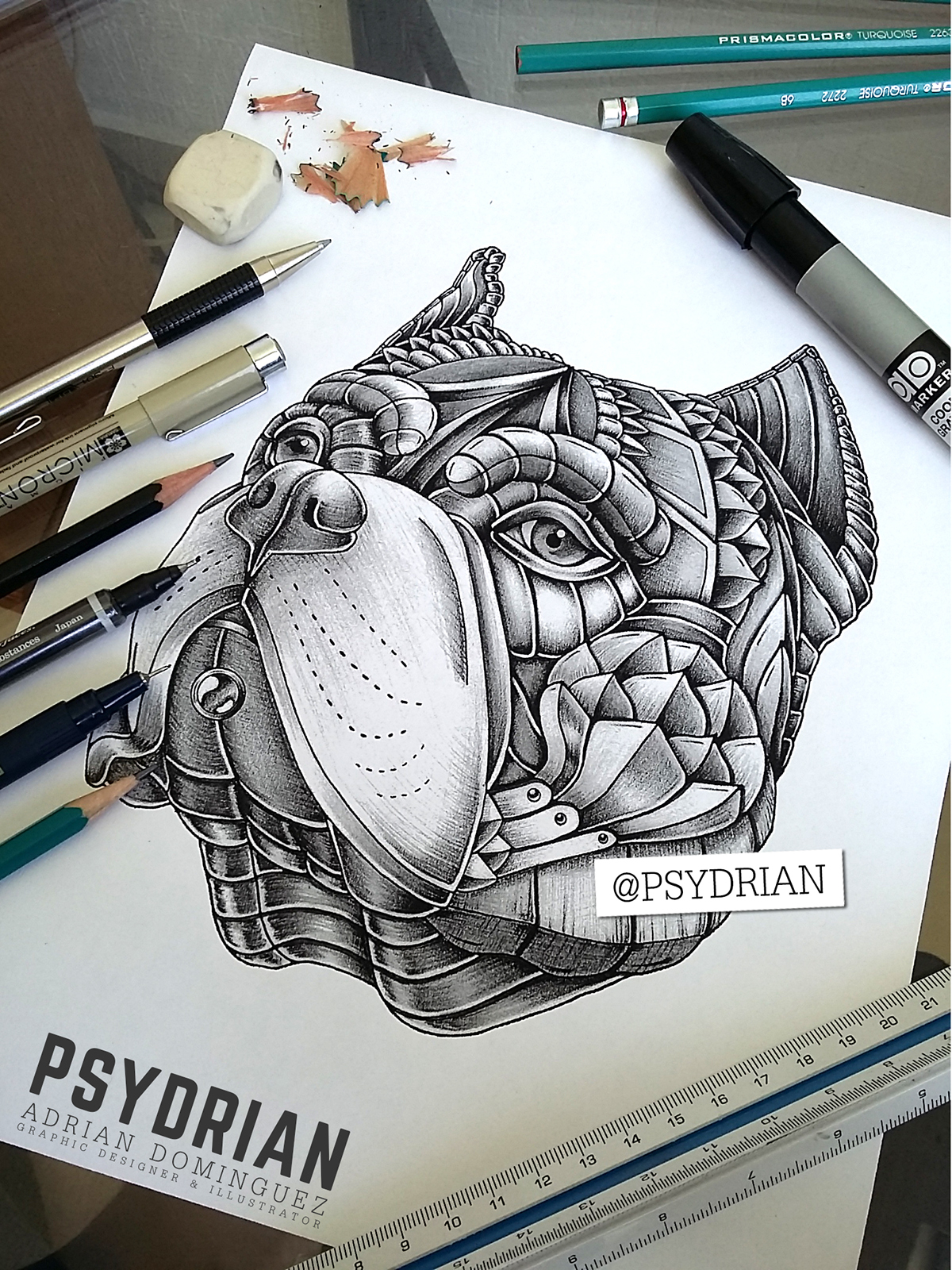 Ornate American Bully On Behance 1600_x_1200_jpg