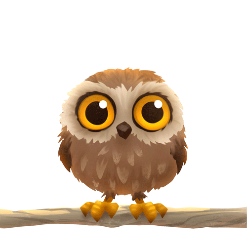 Follow The Owl Gif On Behance