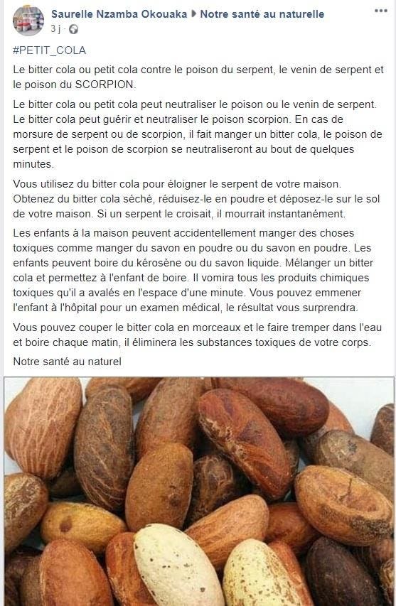 FAUX: Le “bitter cola” ne neutralise pas le poison et le venin du serpent |  by PesaCheck | PesaCheck