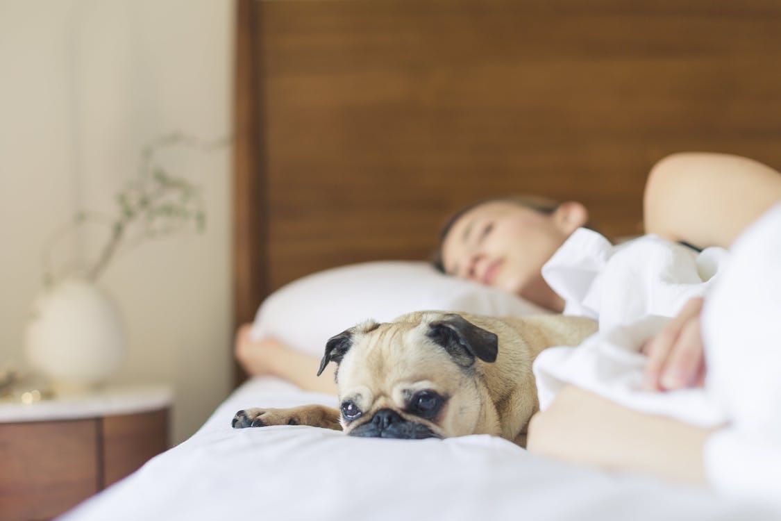 I’m staying in bed all day today – without feeling guilty for a single  second of it. | by Alya Kubati | Medium