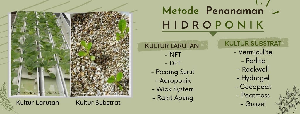 info hidroponik – Medium