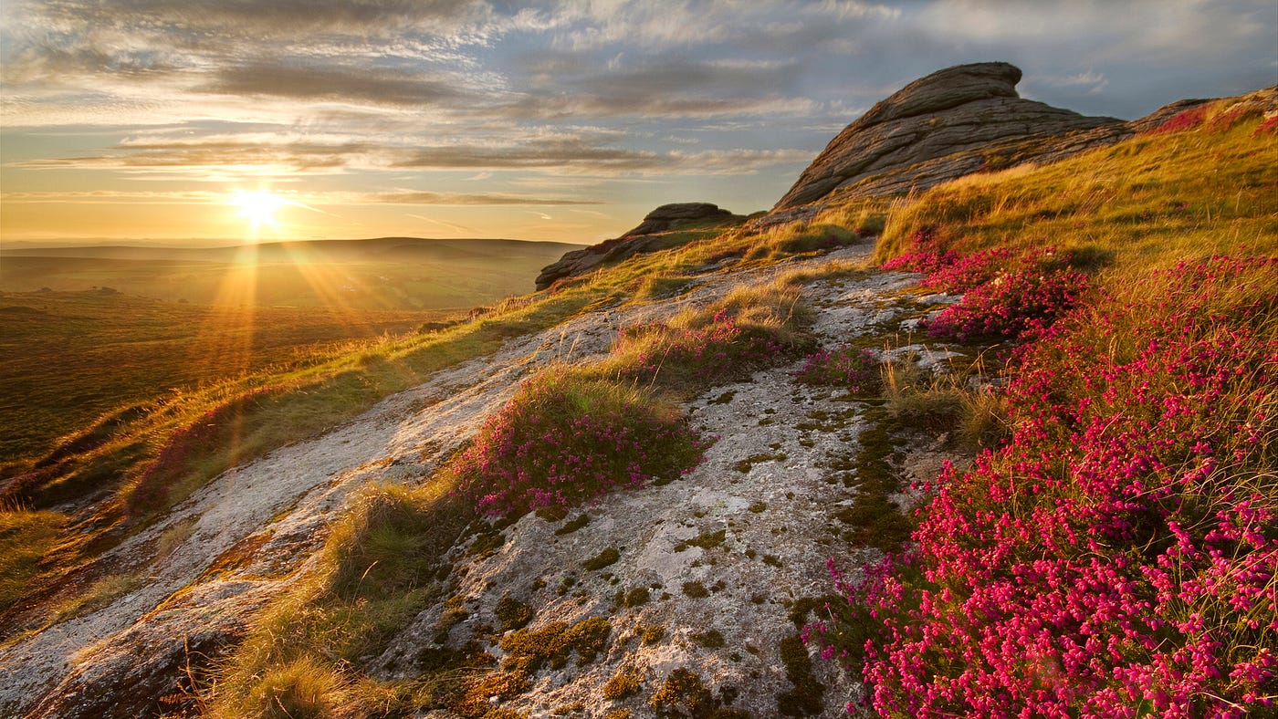 All 182 Screensavers On Your Amazon Fire Tv And Their Locations Photos By Amazon Fire Tv Amazon Fire Tv