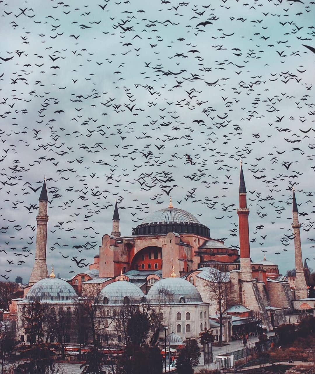 Pengertian Haji Dan Macamnya Ifrad, Tamattu, Qiran | by Umroh Malang | Medium