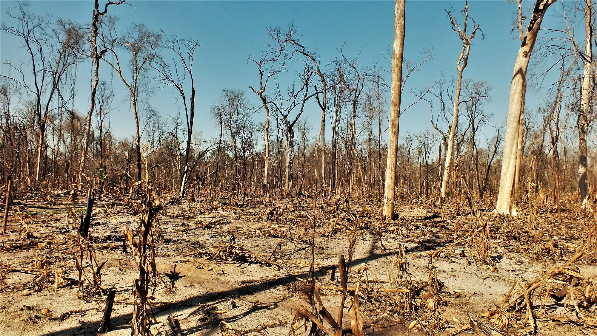 COVID-19, Fast Forward to the Point of No Return | by IOM - UN Migration |  Medium