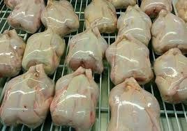 WA +62 823–2773–2765 Treder ayam karkas beku Frozeen | by Ilham Faati |  Medium