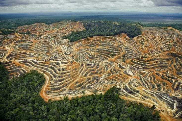 PERUBAHAN SOSIAL MASYARAKAT AGRARIS INDONESIA MENUJU MASYARAKAT INDUSTRI  Manusia dalam… | by Shinta Ressmy | Medium