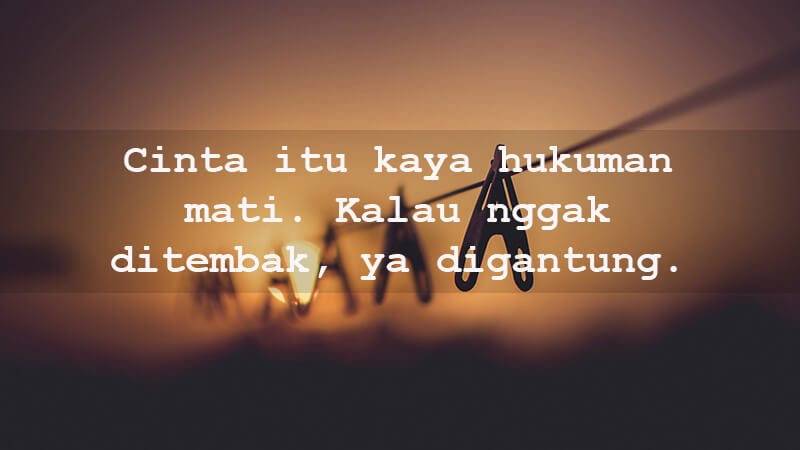 30 Kata Kata Lucu Cinta untuk Menghibur Pacar | by Top Lucu | Medium