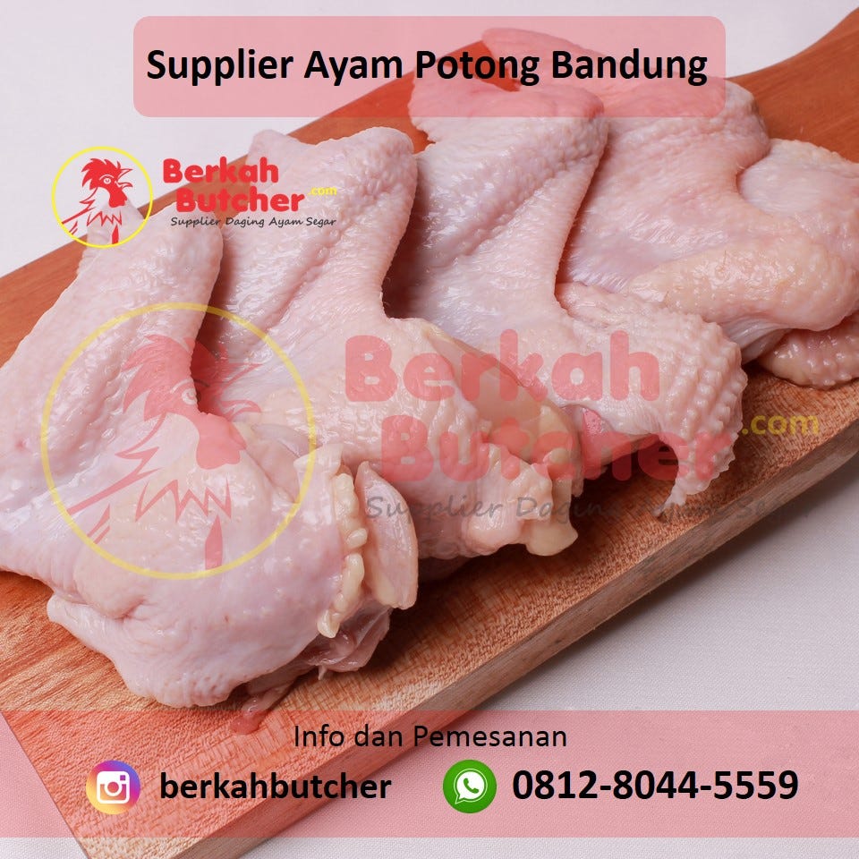 HARGA TERBAIK, Tlp/Wa. 0812–8044–5559, Harga Ayam Potong Per Kilo | by Supplier Ayam Potong Bandung | Medium