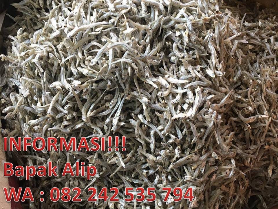 WA 082 242 535 794 // Distributor Ikan Teri Medan, Distributor Ikan Teri  Nasi, Distributor Ikan Teri Medan Di Jakarta, | by Telp/WA  082242535794,Jasa Furniture Semarang mebel | Medium
