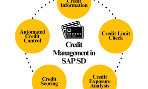 Echoes from the Analog Age: The Enduring "SD Credits" of America’s Legends