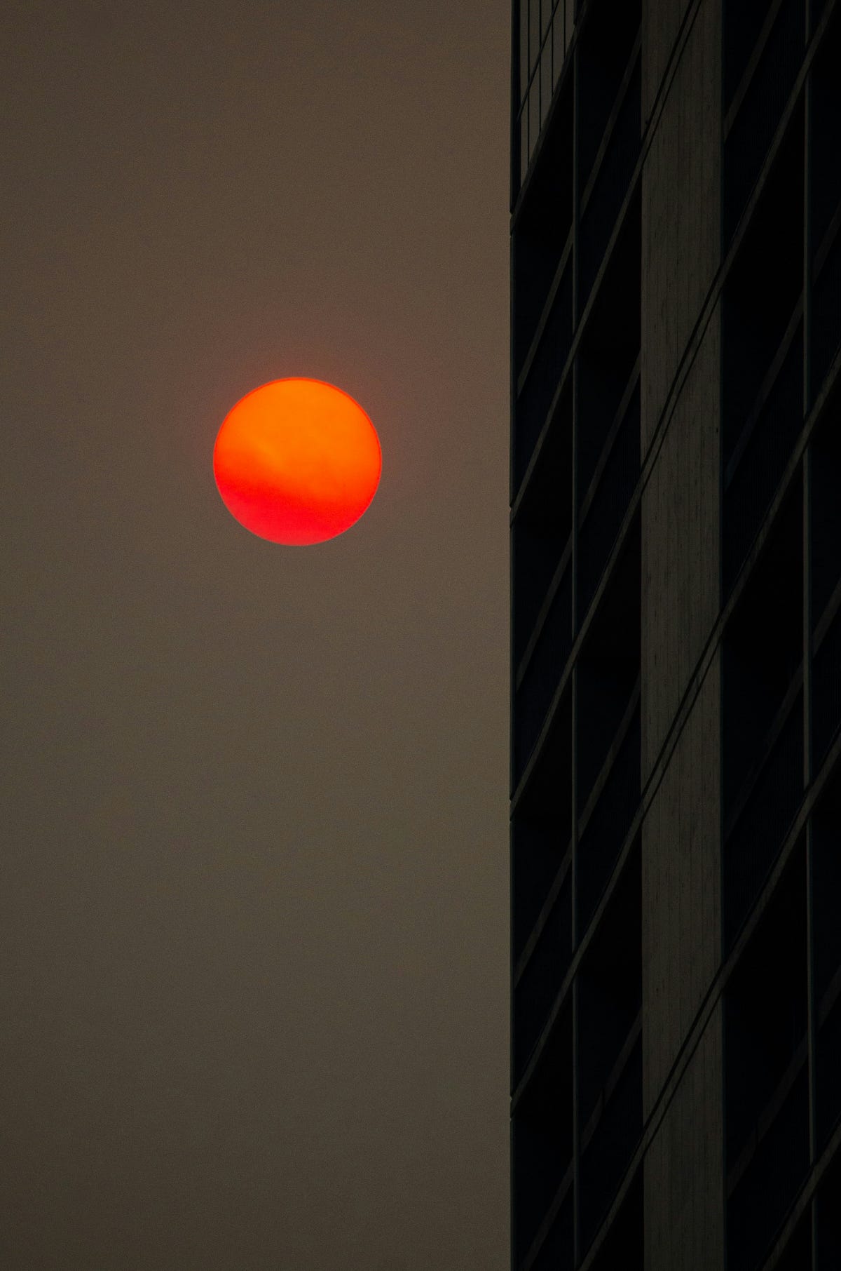 Plume Could Reverse the Doom — But Here’s What to Look For | by Chip Mahoney | The Capital | Feb, 2025