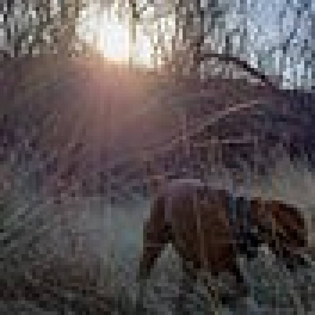 Are Bitcoin and Cryptocurrencies Secure from Quantum Computing? Are Bitcoin and Cryptocurrencies Secure from Quantum Computing?