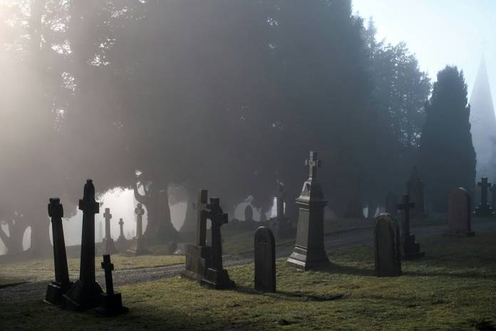 One Curious Motive Why Entrepreneurs Fail | by Cynthia Wylie | The Startup | Oct, 2025