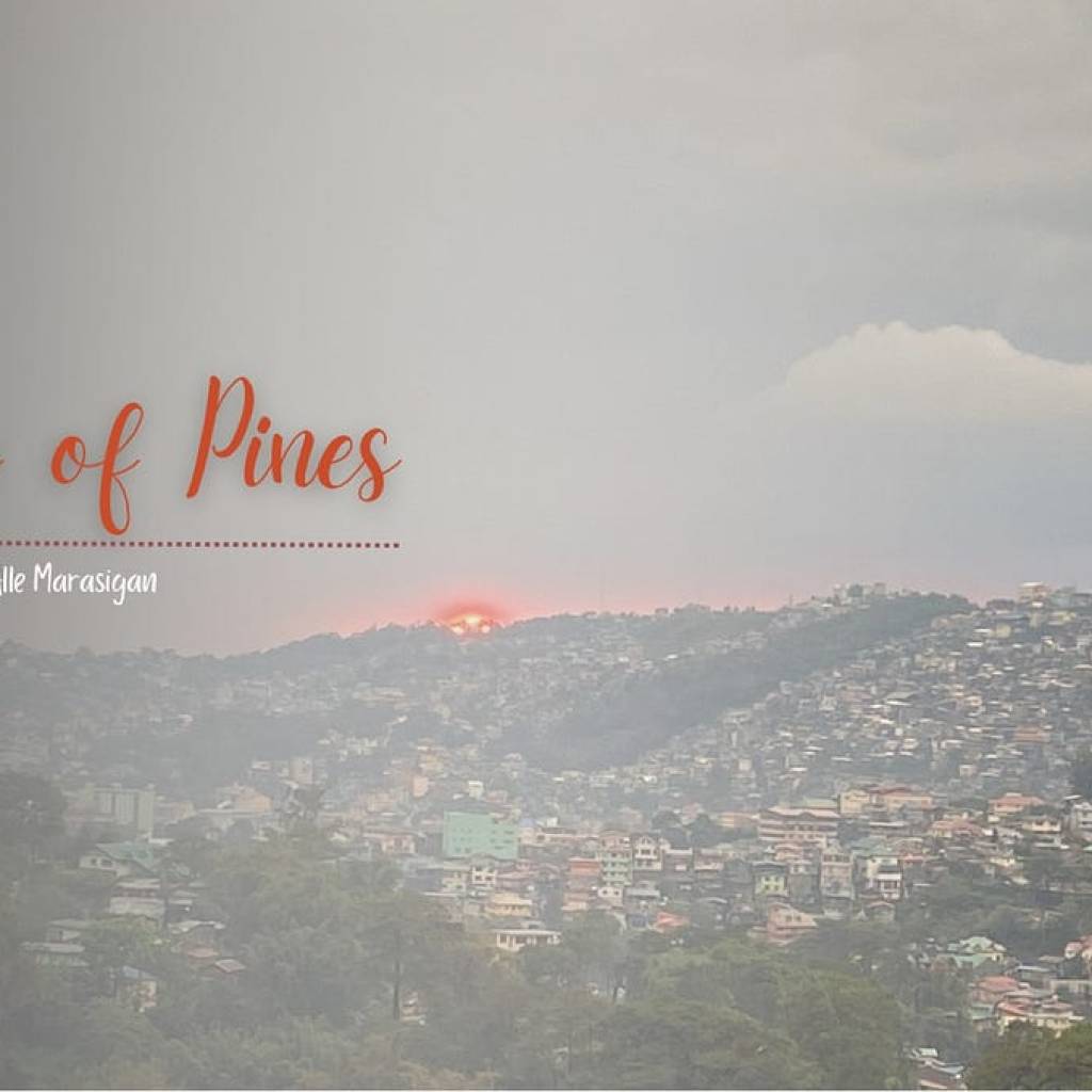 City of Pines | by glOggy | May, 2025 City of Pines | by glOggy | May, 2025