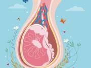 8 Ball-Busting Testicle Myths Men Wish Women Would Stop Believing | by  Carlyn Beccia | Sexography | Medium  6