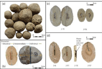 Coastal Archaeological Deposits and Food History