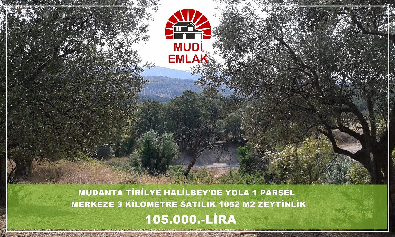 Arya mudanya satılık daire