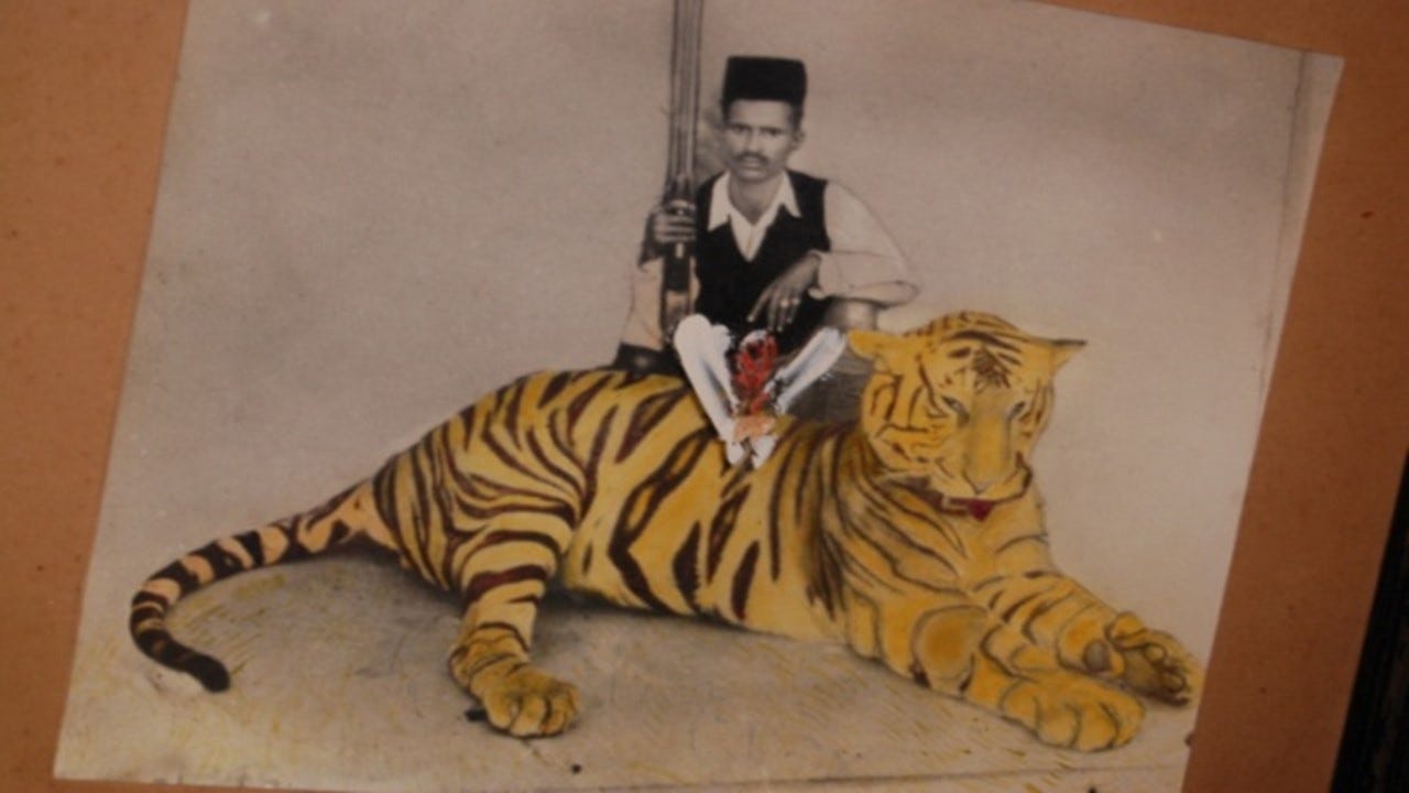 On Kenneth Andersons Trail. Retracing the adventures of a hunter… | by  Karthik | Medium