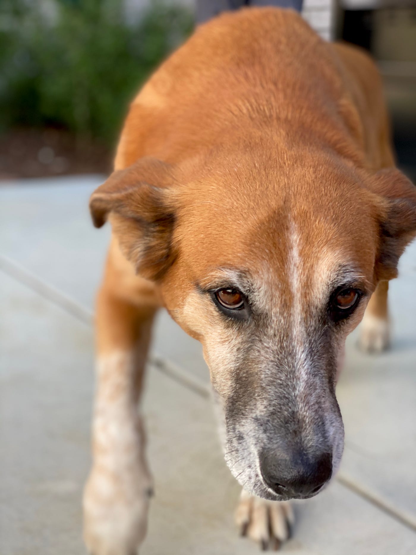 Scenes of life during a pandemic: Early June 2020 | by Aidan Guthrie | Medium Megan.guthrie porn