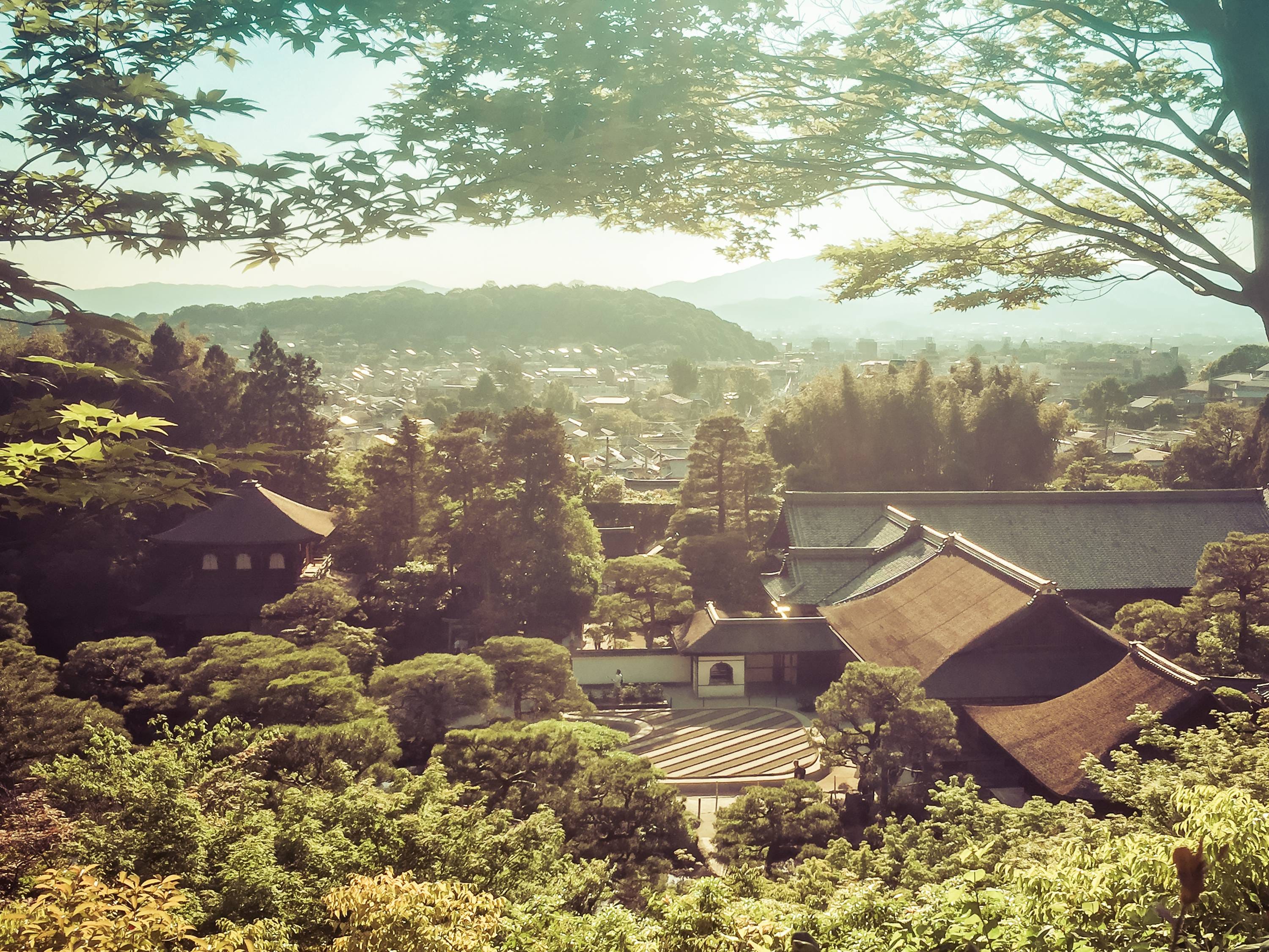 Japan. Hello. This is a summary of my holiday… | by Corey Silva | Medium Shinjuku gyoen national garden opening hours