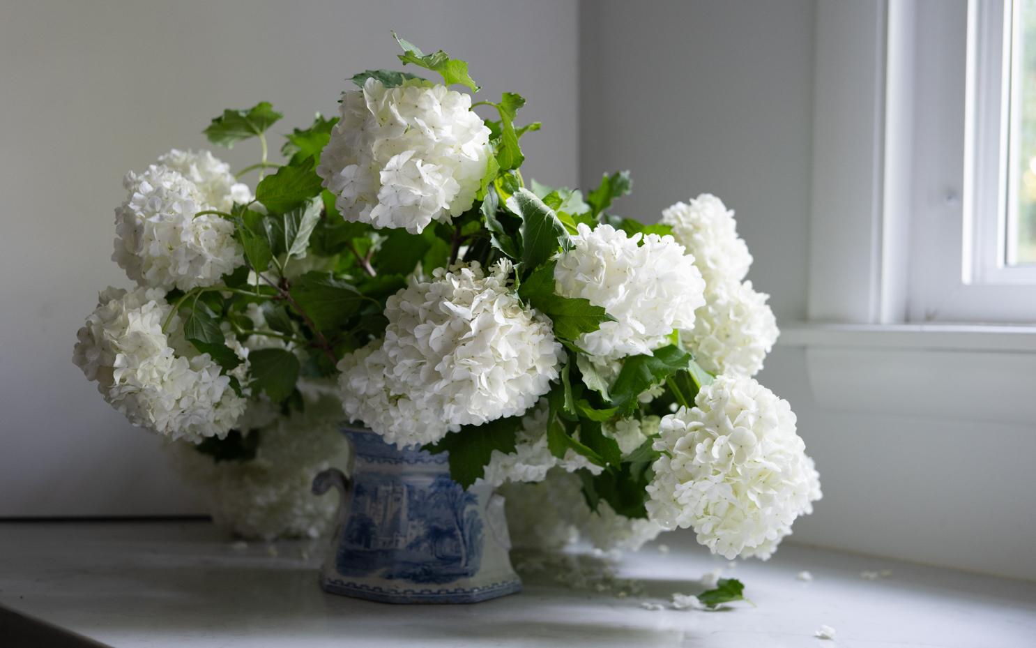 four things | seventy four