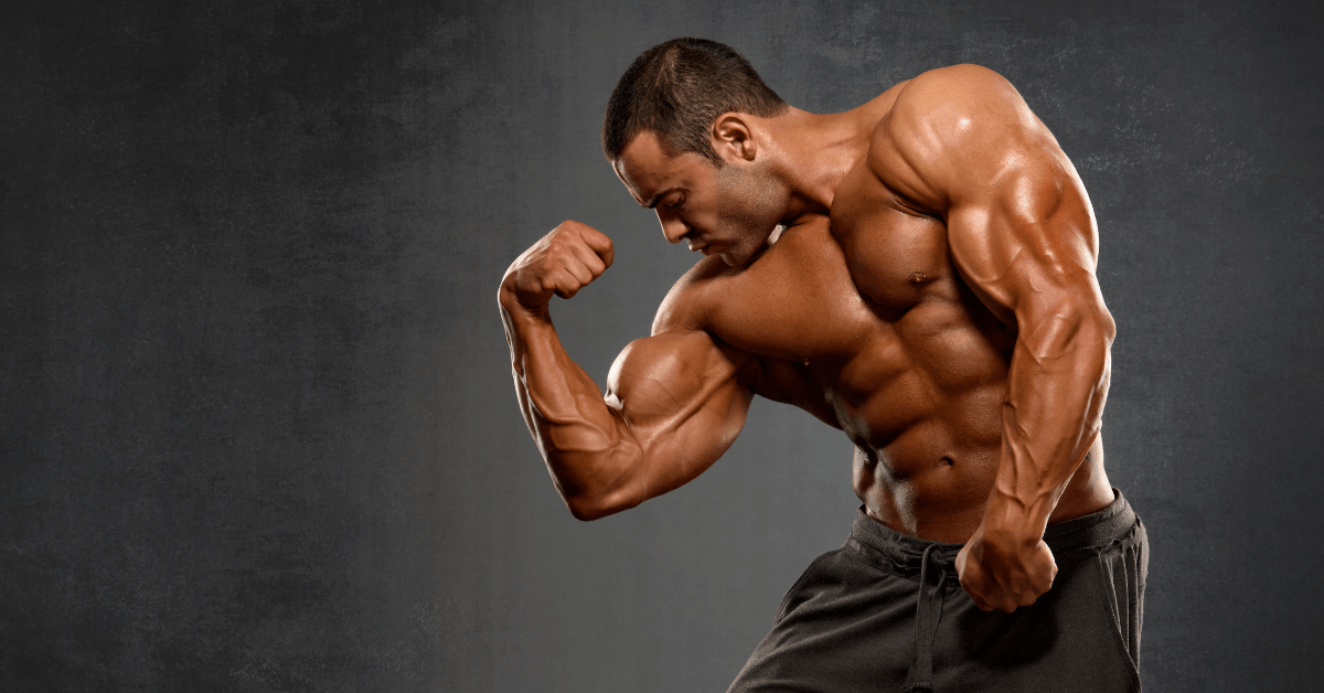 Muscle Gain & Strength Supplements: How CrazyBulk Muscle Building Supplements Boost Strength and Maximize Muscle Performance Fast