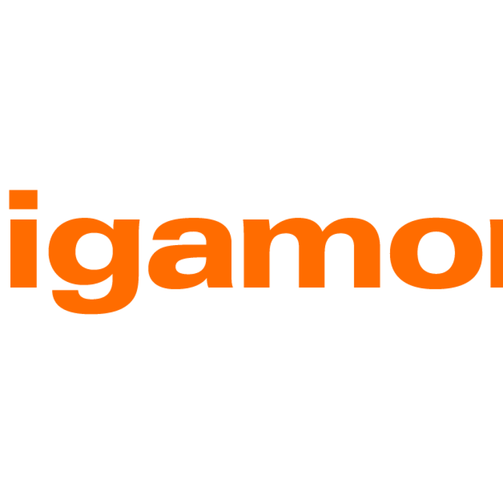 Gigamon Names Gareth Maclachlan Chief Operating Officer to