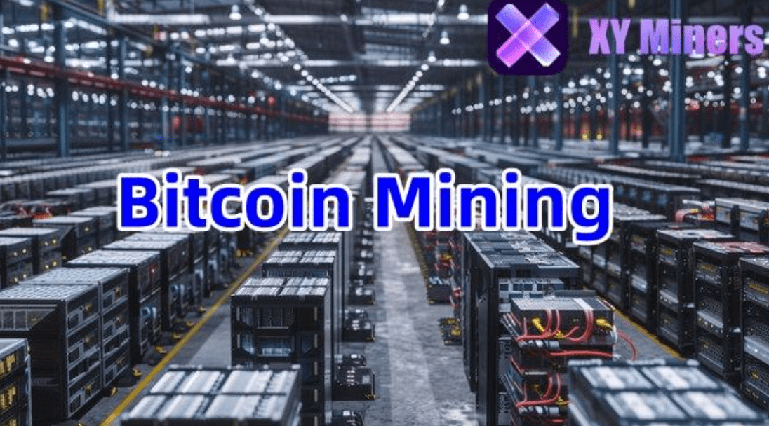 XY Miners: Real-time Bitcoin (BTC) Dogecoin (DOGE) mining, no hardware required