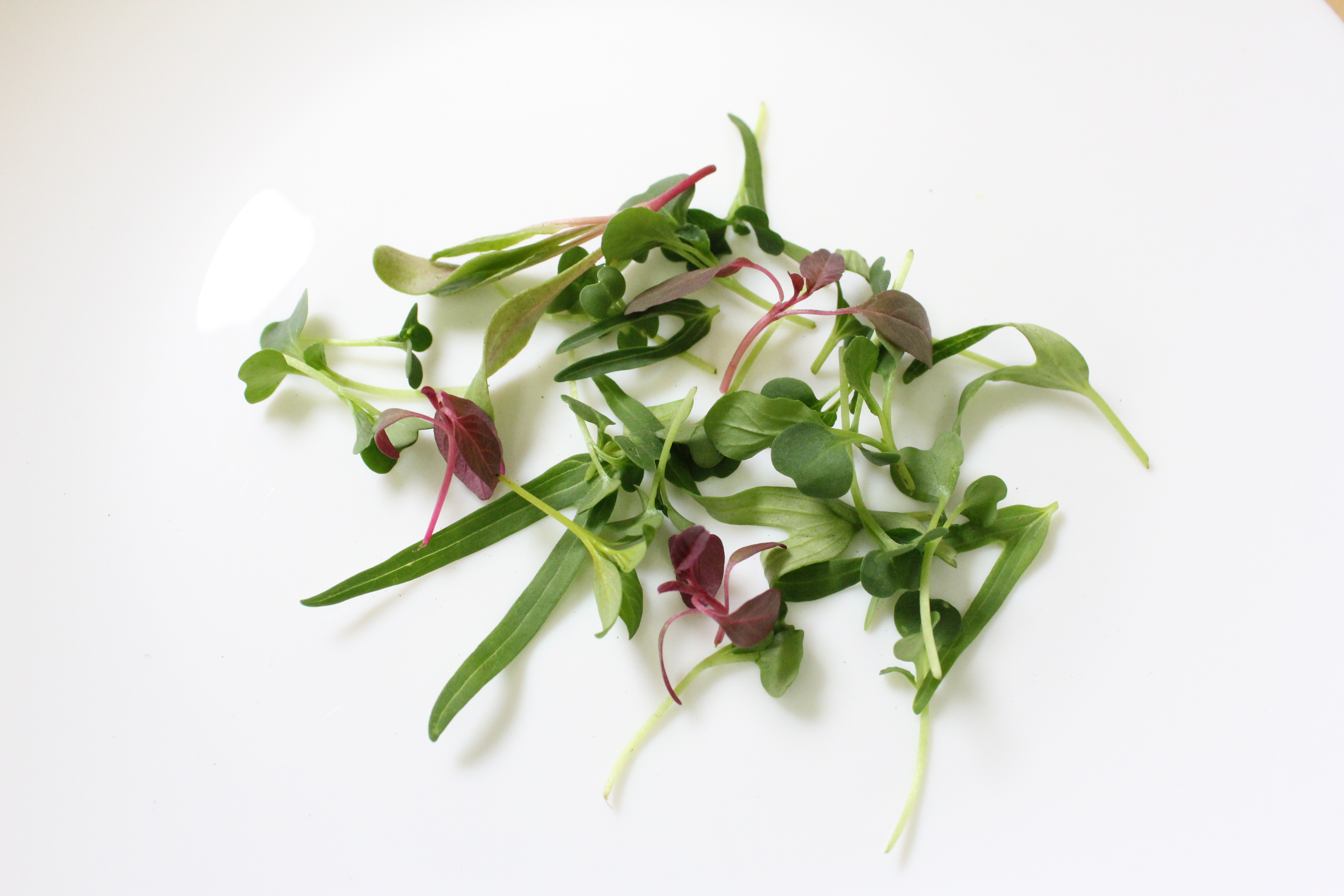 マイクロリーフミックス | 業務用の仕入れなら-有機野菜のモア―ク | 有機野菜、オーガニックの業務用仕入れサイト | モアーク