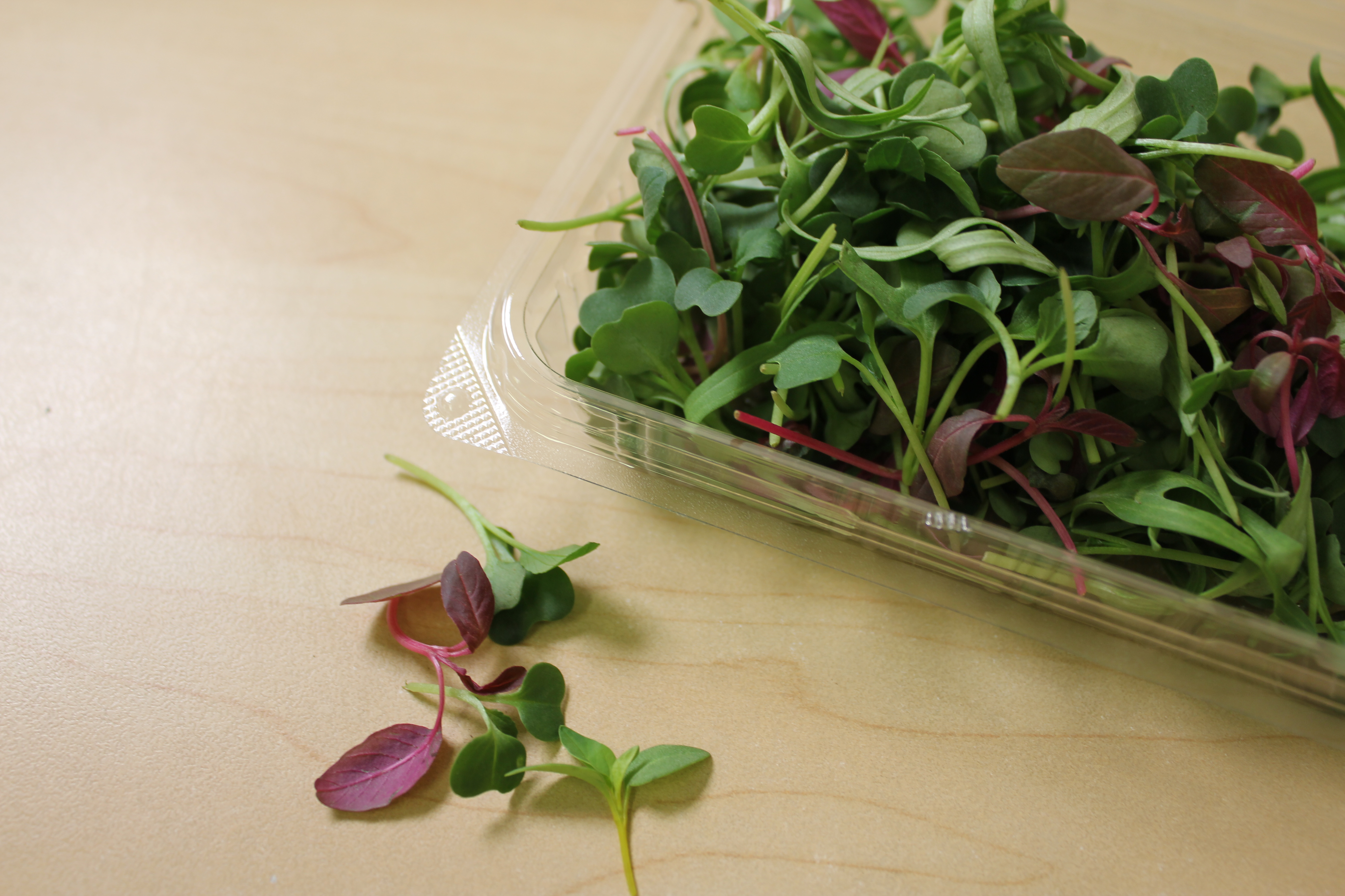 マイクロリーフミックス | 業務用の仕入れなら-有機野菜のモア―ク | 有機野菜、オーガニックの業務用仕入れサイト | モアーク