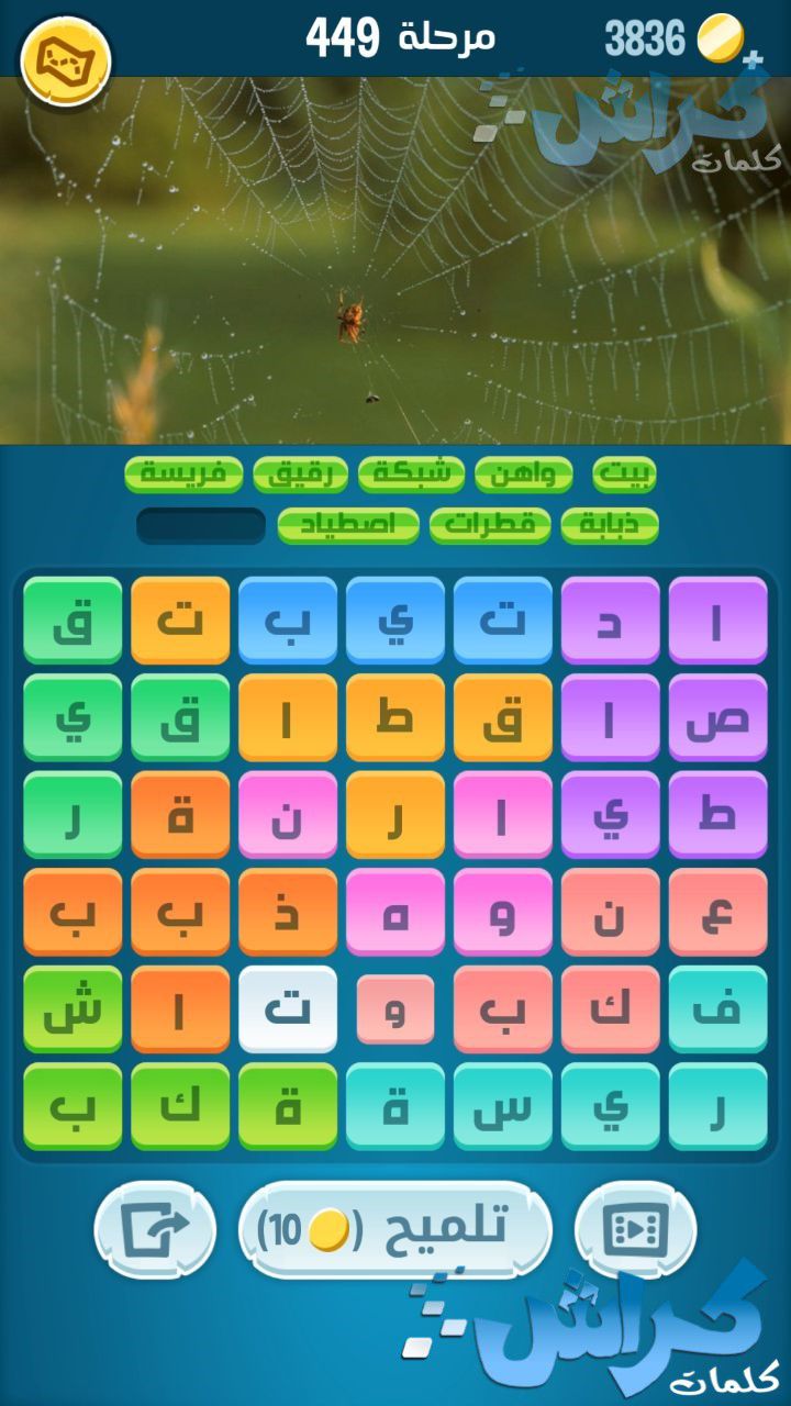 كلمات كراش 489