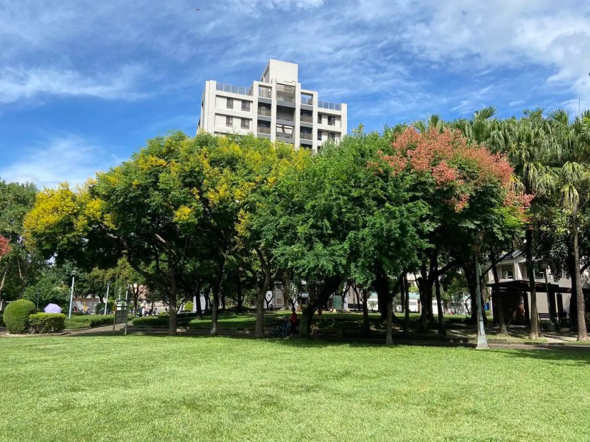 金黃欒花迎秋盛放　中市建設局邀市民共賞繽紛花景